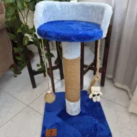 اسکرچر گربه