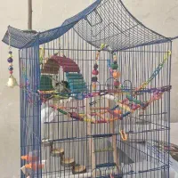 فروش وسایل کامل طوطی سانان قفس ۴۶×۴۶×۹۰