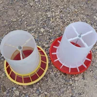 خریدوفروش لوازم مرغ گوشتی تخمگذار و مادر|عمده‌فروشی|برازجان, |دیوار