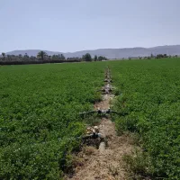 نیاز مند نیروی کار