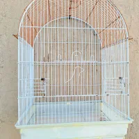 قفس کاسکو بزرگ و کاملا نو