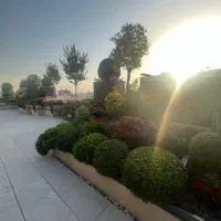 ۲۸۴ متر قیطریه ( حکمت )