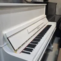 پیانو پرتابل p225 white|پیانو، کیبورد، آکاردئون|قم, مصلاء|دیوار