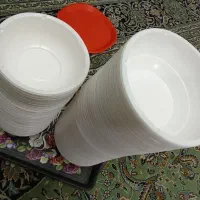 ظرف یک بار مصرف در دار.  در ۳ سایز