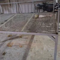 تخت فلزی با عرض ۱۵۰ و طول ۲ متر