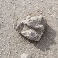 سنگ های قدیمی|کلکسیون اشیاء عتیقه|قم, ناصردیوان|دیوار