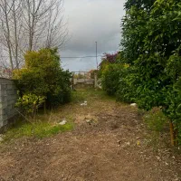 زمین دلباز ۲۵۰۰ متری، فرصت استثنائی سرمایهگذاری|فروش زمین و ملک کلنگی|چاف و چمخاله, |دیوار