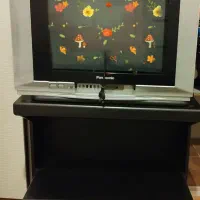 تلویزیون پاناسونیک و میز تلویزیون چوبی