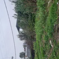 فروش زمین 2750 متر بابل زرگرشهر|فروش زمین و ملک کلنگی|زرگرشهر, |دیوار