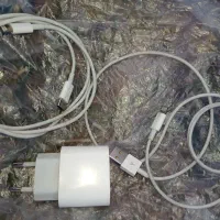 شارژر اپل اصلی  سر کارتونی در هد نو