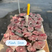 فروش ماهی تازه جنوب