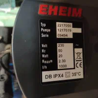 آکواریوم|ماهی|قائن, |دیوار