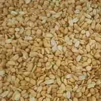 بادام زمینی مخصوص کره گیری|عمده‌فروشی|تهران, تختی|دیوار