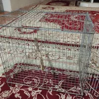 قفس|لوازم جانبی حیوانات|بندرعباس, |دیوار