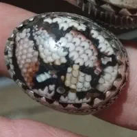 معاوضه اجناس کلکسیونی و نایاب