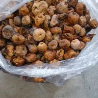 انجیر تازه آفتابی