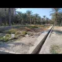 (فروش فوری زمین)دودانگه کوچک برچ حسنقلی خان|فروش زمین و ملک کلنگی|بهبهان, |دیوار