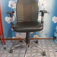 صندلی گردان|صندلی و نیمکت|فردیس, شهرک گلها|دیوار