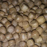 خوراک پروار اکسترودیه ماهی قزل الا