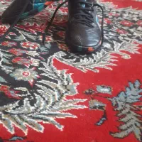 کفش نوع ورزشی