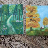 تعدادی تابلو ویک بوم سفید اماده باقیمت مناسب|تابلو، نقاشی، عکس|بندر انزلی, شیلات|دیوار