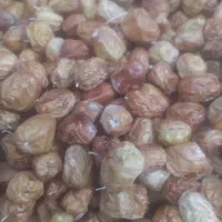 سنجد