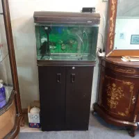 آکواریوم شرکتی ماهیران شیشه خم پمپ بخاری تصفیه