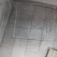 دوعدد قفس پرنده سالم|لوازم جانبی حیوانات|سهند, |دیوار