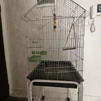 قفس پرنده