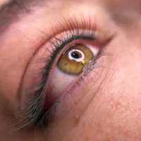 مدل میکروبلیدینگ و خط چشم|خدمات آرایشگری و زیبایی|تهران, صد دستگاه|دیوار