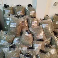 یونجه|لوازم جانبی حیوانات|کرج, عظیمیه|دیوار