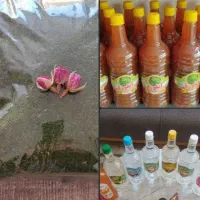 گلاب و عرقیجات ناب کاشان . شوید نعنا خشک . آبغوره