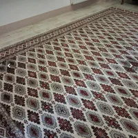 فروش فوری فوری به دلیل مهاجرت|فرش|بجنورد, |دیوار