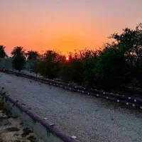 دودهنه‌ مغازه جاده سیدرضا