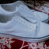 کفش نو نو تضمینی|کیف، کفش، کمربند|لالجین, |دیوار