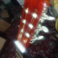 گیتار مبتدی|گیتار، بیس، امپلیفایر|نیشابور, هفده شهریور|دیوار