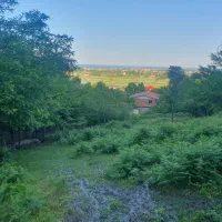 زمین مسکونی کوهپایه اسالم روستای نارنجدول پ۲ جنگل