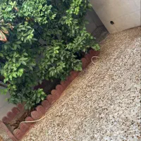 فروش منزل ویلایی|فروش خانه و ویلا|شیراز, حجت آباد|دیوار