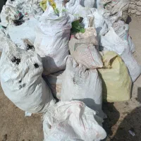 کود حیوانی گاو رایگان۵۰کیسه