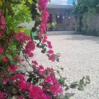 ویلا تکخواب جاده رشت انزلی.مستقل.امن|اجارهٔ کوتاه‌مدت ویلا و باغ|رشت, حومه رشت|دیوار