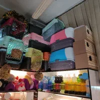 پت شاپ،قفس،تشویقی ،کنسرو،بستنی