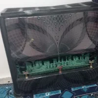 بخاری سالم
