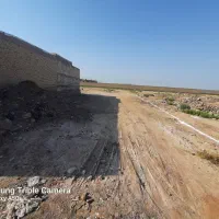 زمین در قلعه چنعان ولایت ۱۰