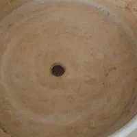 گلدان با زیری|گل و گیاه طبیعی|مشهد, انقلاب|دیوار