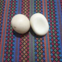 سنگ الماس آسیاب اصل