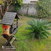 تجاری-مدیران-عرصه-واعیان-ششدانگ