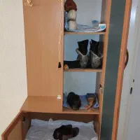 جاکفشی و جالباسی|جاکفشی، کمد، دراور|رشت, دیانتی|دیوار