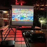 ویدئو پروژکتور سینمای خانگی، مدارس،کافه