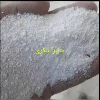 پرلیت گلخانه ای|گل و گیاه طبیعی|مشهد, خواجه ربیع|دیوار