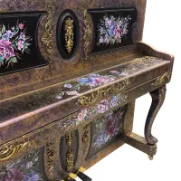 پیانو دیجیتال طرح آکوستیک پتینه